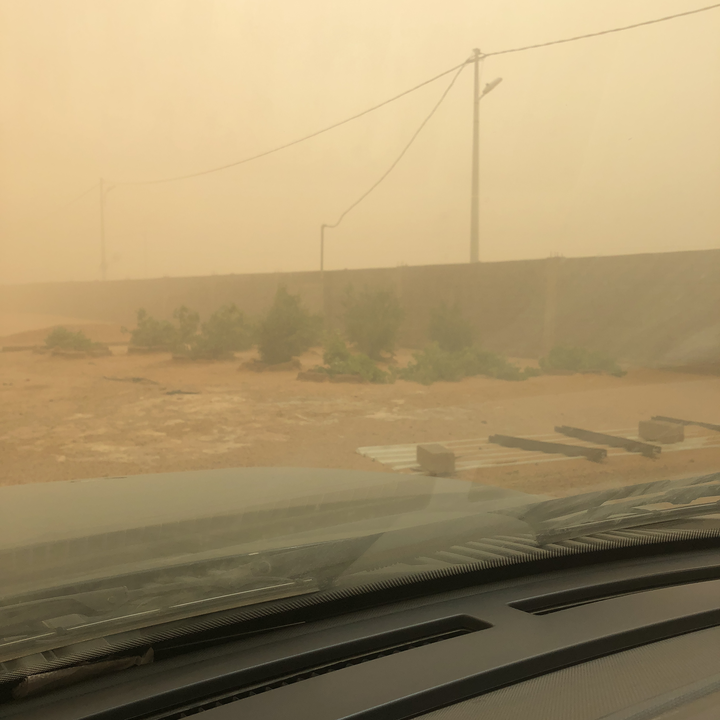 مشاركاتي في أنت الراصد