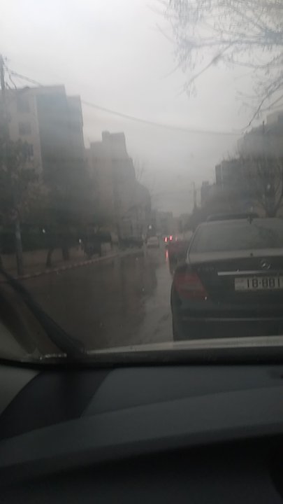 مشاركاتي في أنت الراصد