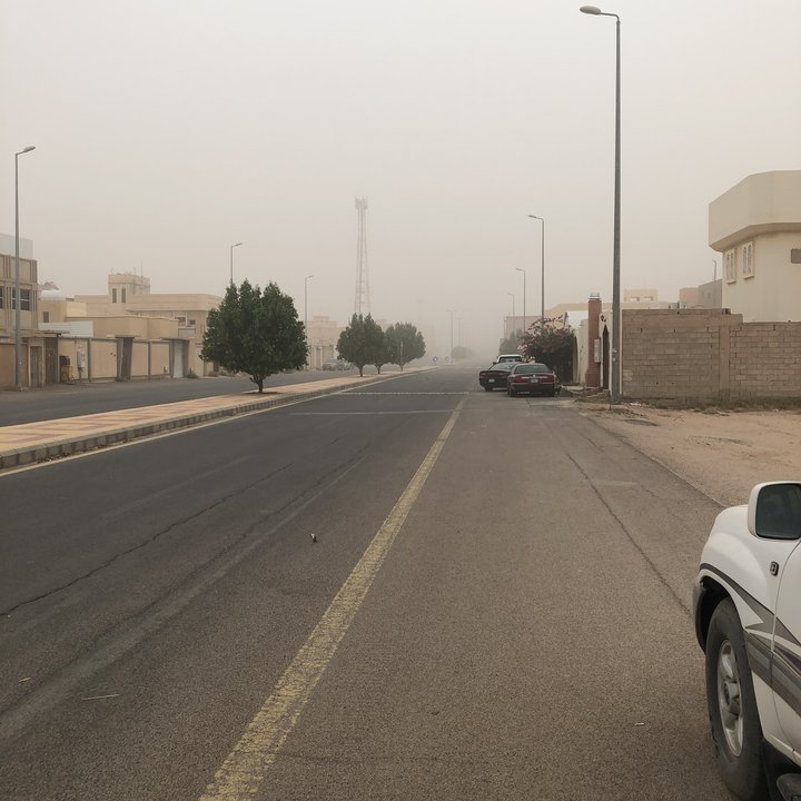 مشاركاتي في أنت الراصد