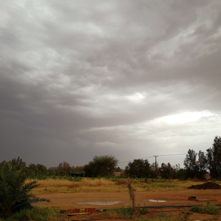 مشاركاتي في أنت الراصد