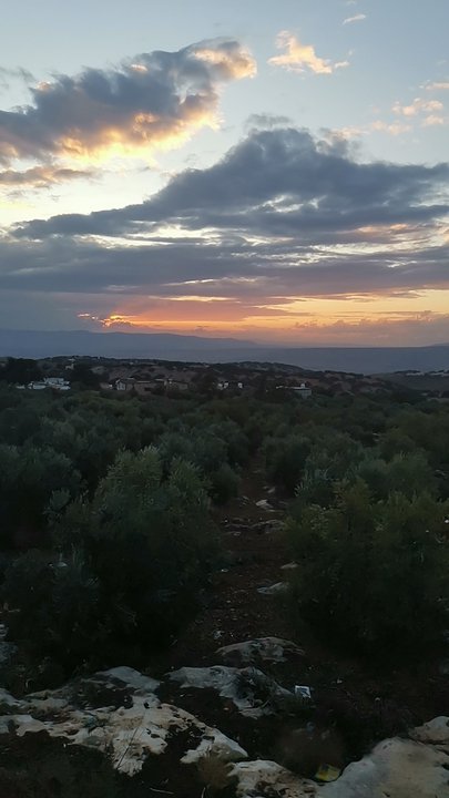 مشاركاتي في أنت الراصد