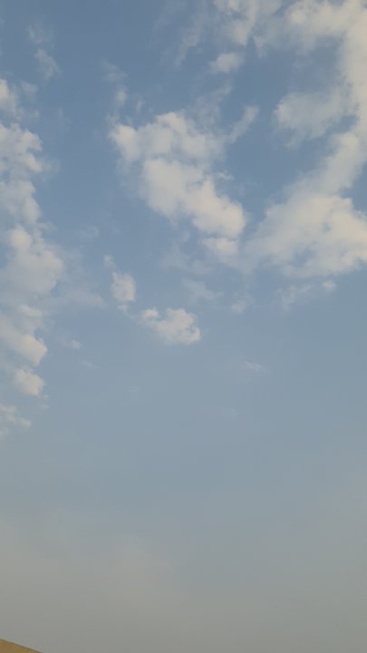 مشاركاتي في أنت الراصد