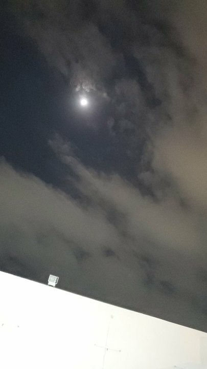 مشاركاتي في أنت الراصد