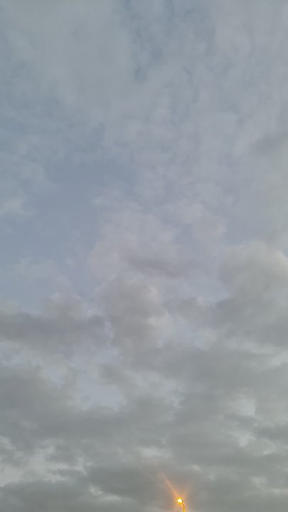 مشاركاتي في أنت الراصد