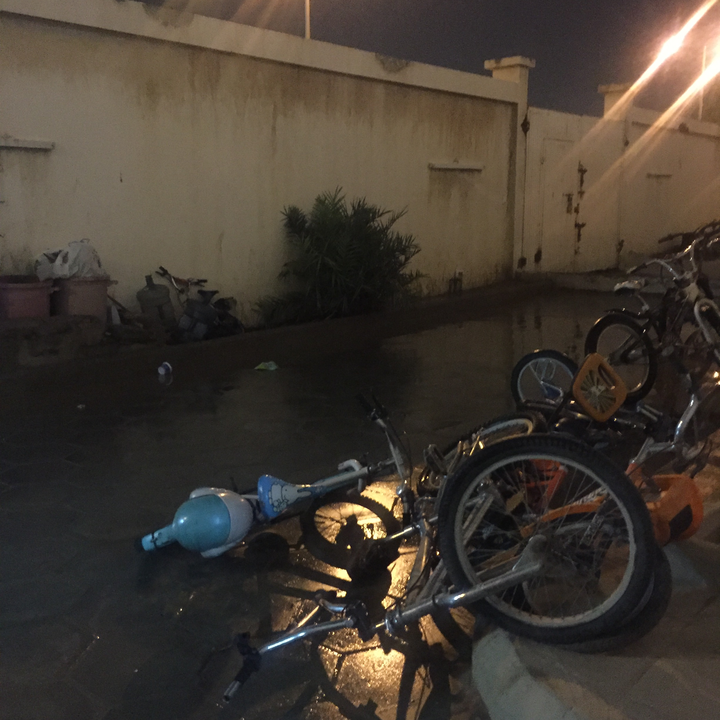 مشاركاتي في أنت الراصد