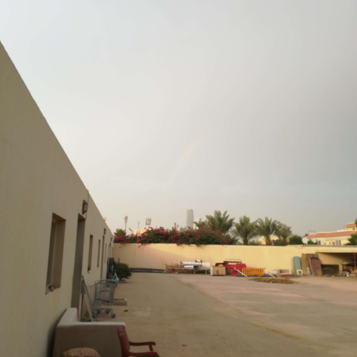 مشاركاتي في أنت الراصد