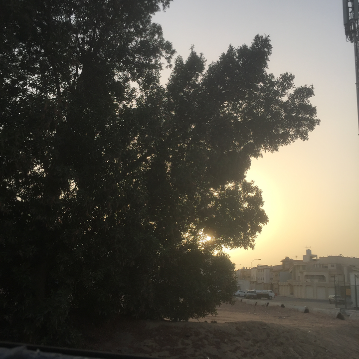 مشاركاتي في أنت الراصد