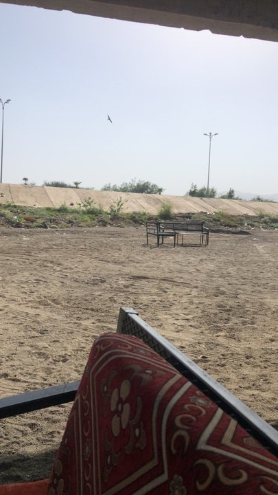 مشاركاتي في أنت الراصد