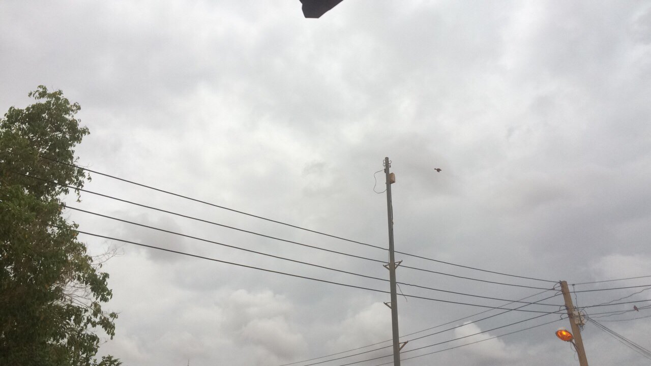 Mes publications Crowdsourcing