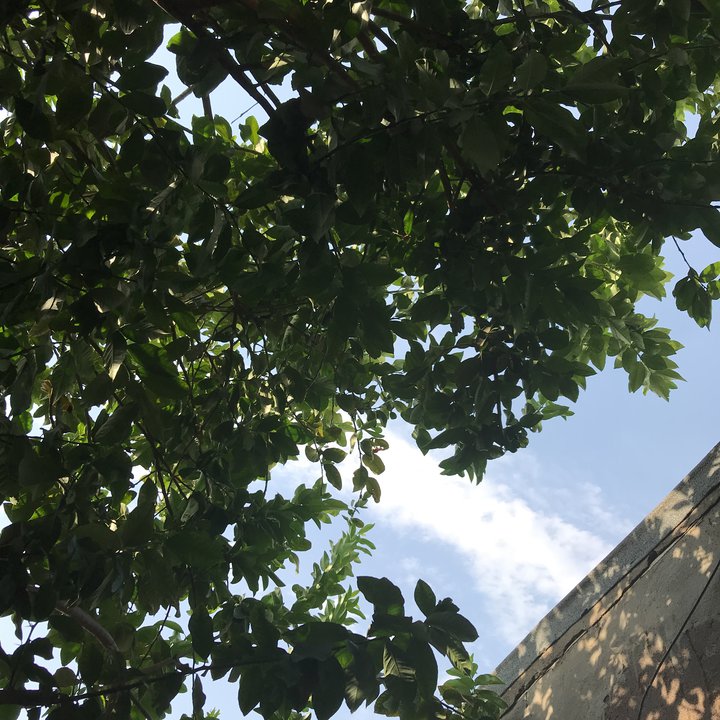 مشاركاتي في أنت الراصد