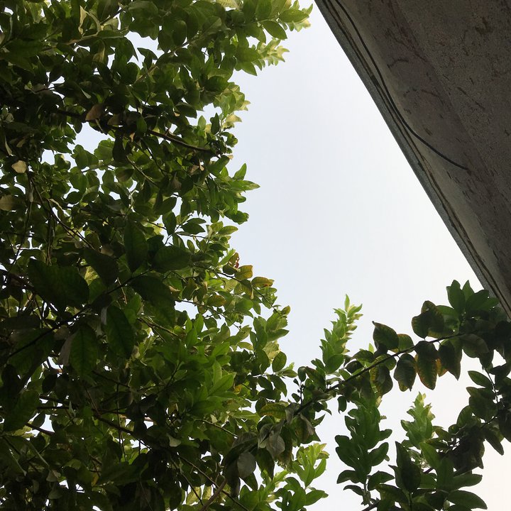 مشاركاتي في أنت الراصد