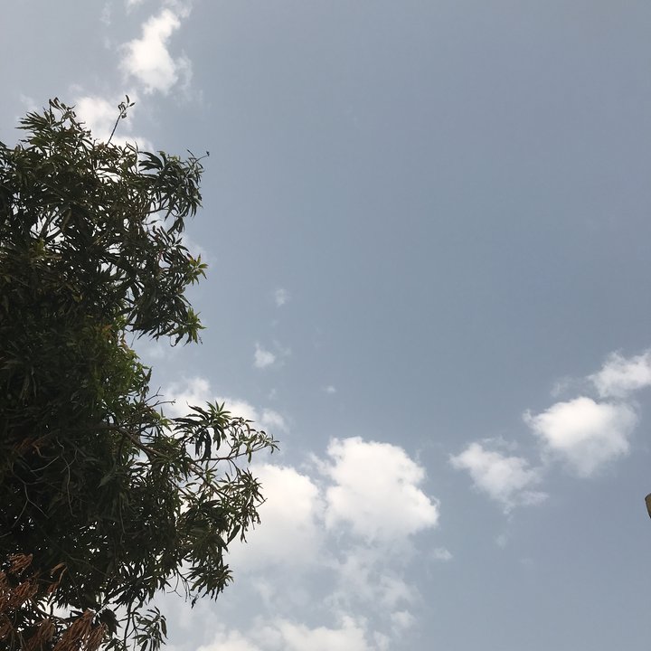 مشاركاتي في أنت الراصد