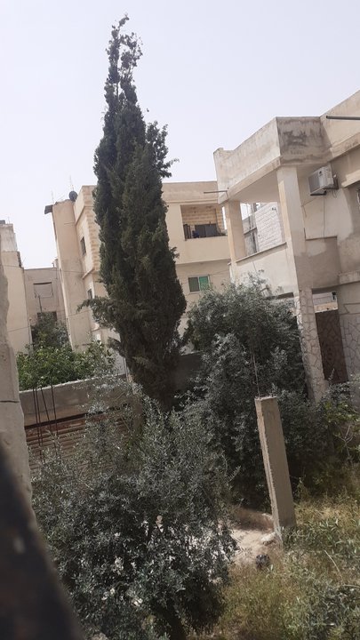 مشاركاتي في أنت الراصد