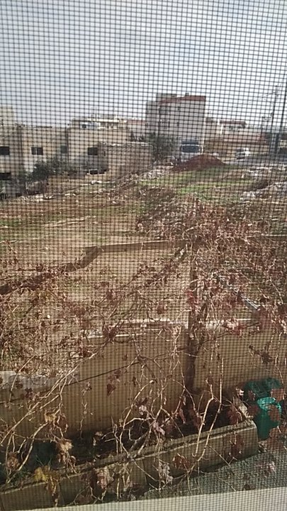 مشاركاتي في أنت الراصد