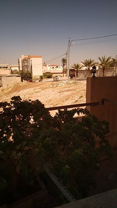 مشاركاتي في أنت الراصد