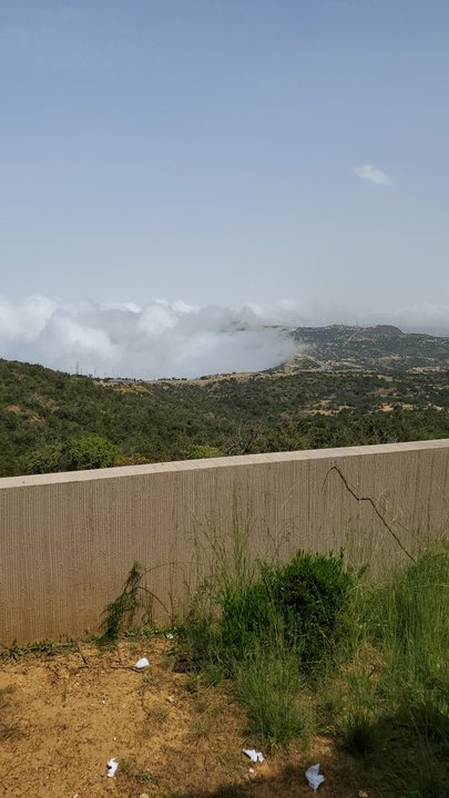 مشاركاتي في أنت الراصد