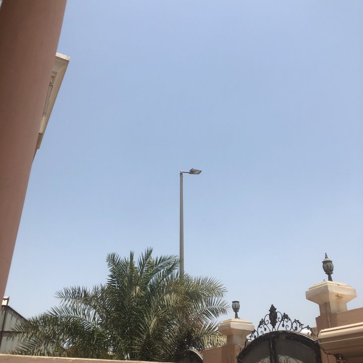 مشاركاتي في أنت الراصد