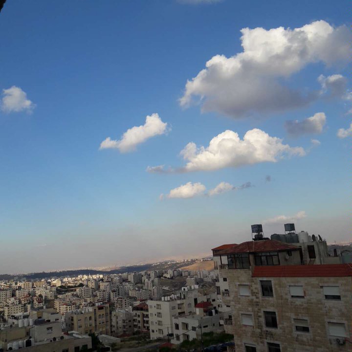 مشاركاتي في أنت الراصد