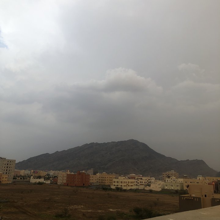 مشاركاتي في أنت الراصد