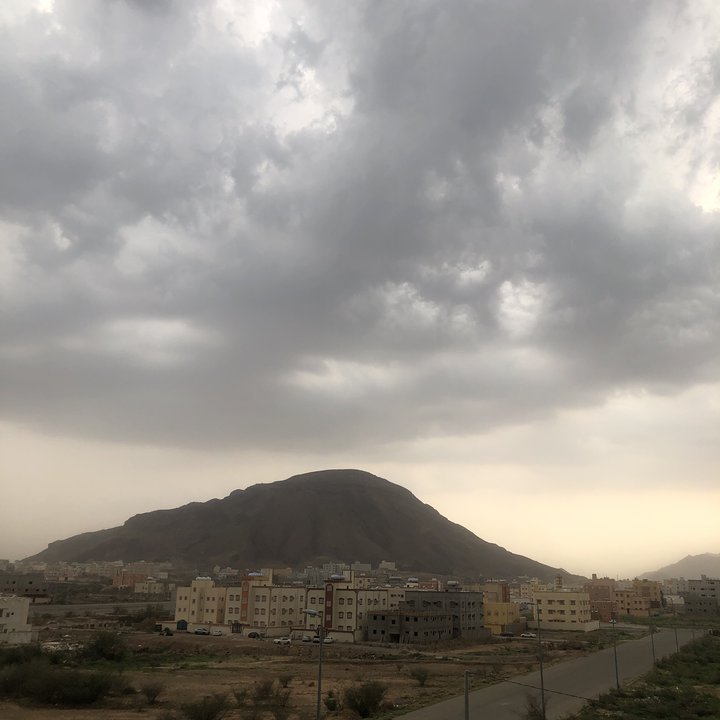 مشاركاتي في أنت الراصد