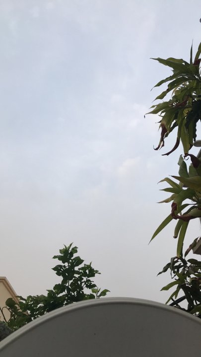 مشاركاتي في أنت الراصد