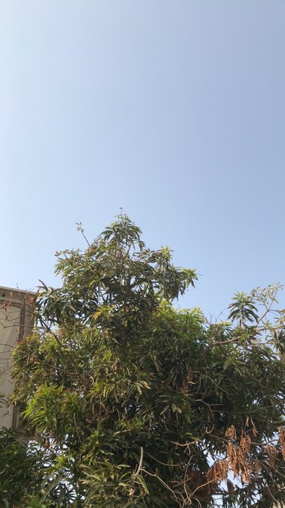 مشاركاتي في أنت الراصد