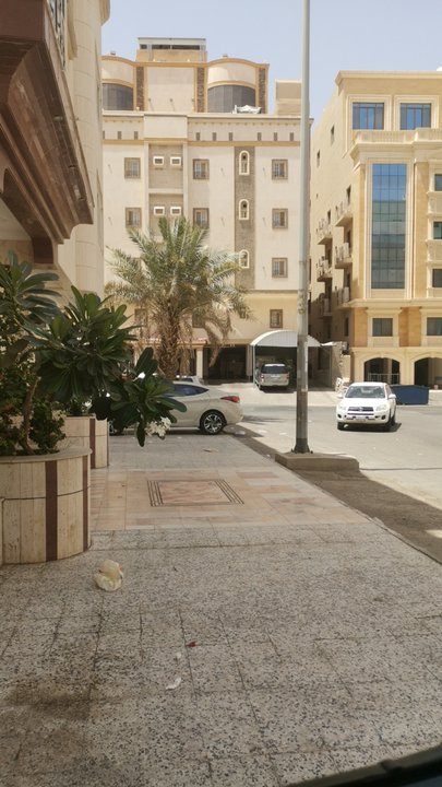 مشاركاتي في أنت الراصد