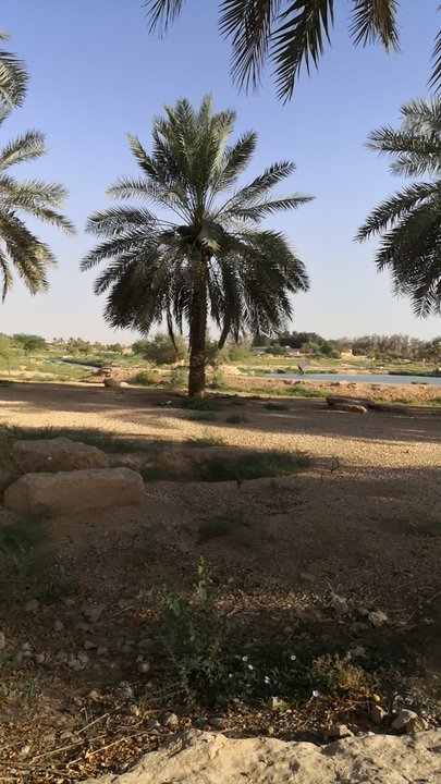 مشاركاتي في أنت الراصد