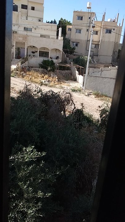 مشاركاتي في أنت الراصد