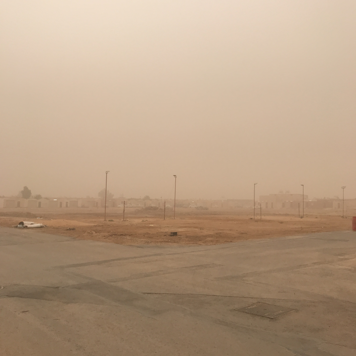 مشاركاتي في أنت الراصد