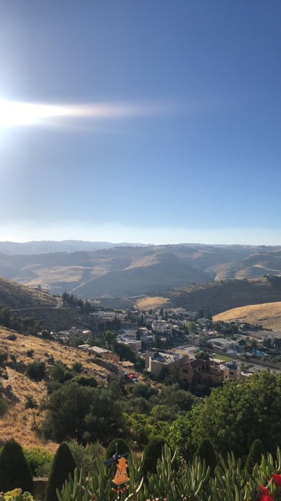 مشاركاتي في أنت الراصد