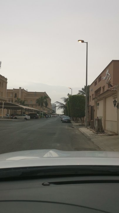 مشاركاتي في أنت الراصد