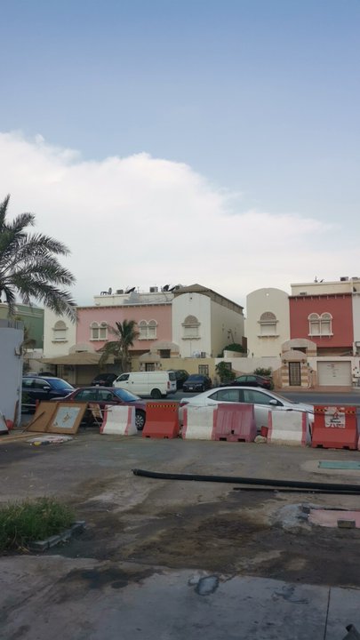 مشاركاتي في أنت الراصد