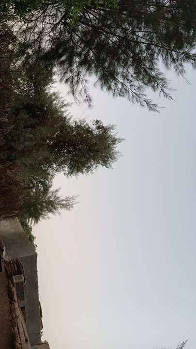 مشاركاتي في أنت الراصد