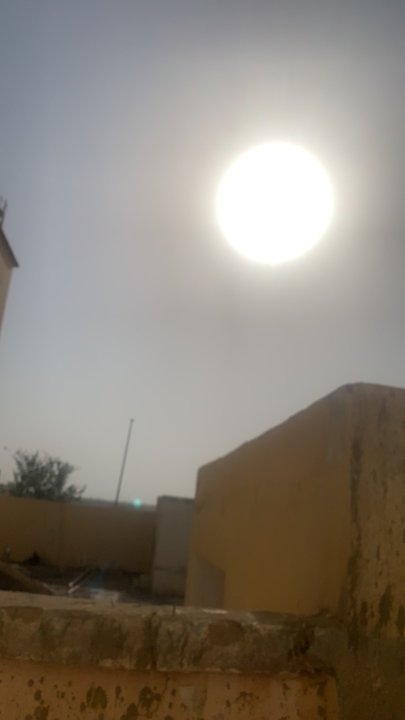 مشاركاتي في أنت الراصد