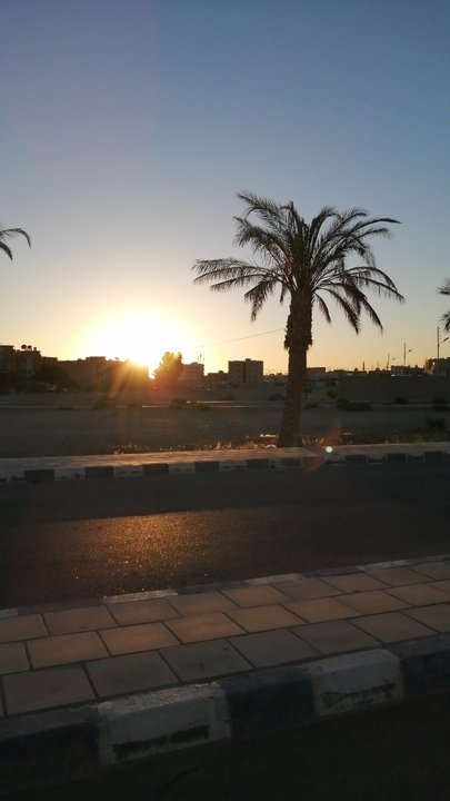 مشاركاتي في أنت الراصد