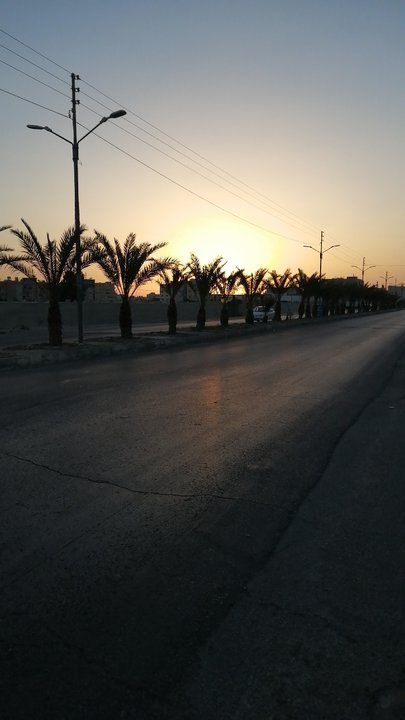 مشاركاتي في أنت الراصد