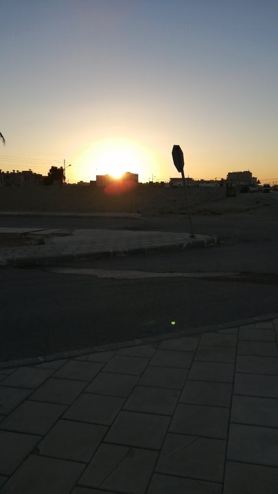 مشاركاتي في أنت الراصد