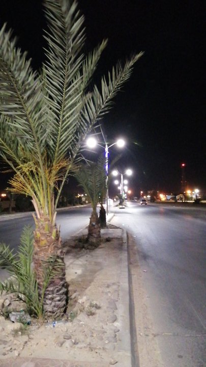 مشاركاتي في أنت الراصد