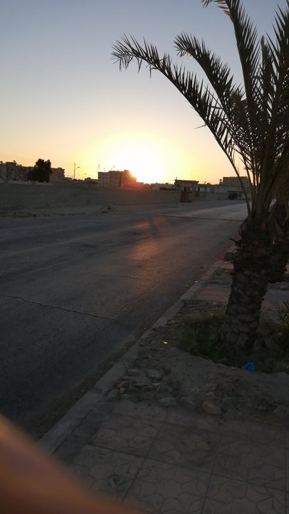 مشاركاتي في أنت الراصد