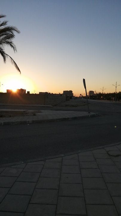 مشاركاتي في أنت الراصد