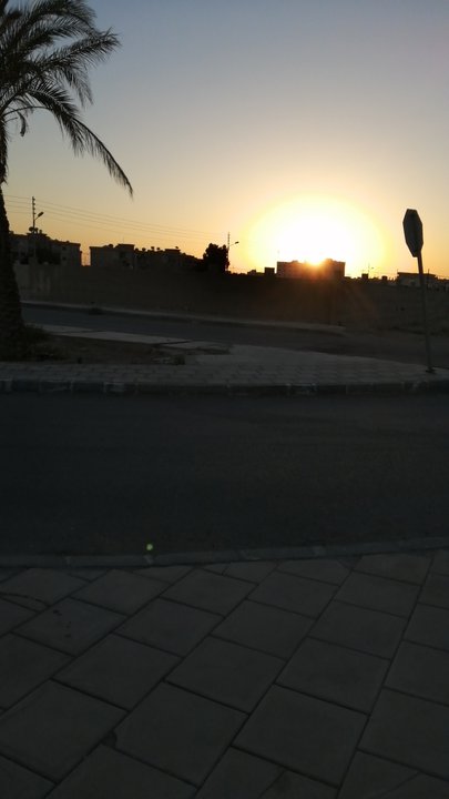 مشاركاتي في أنت الراصد