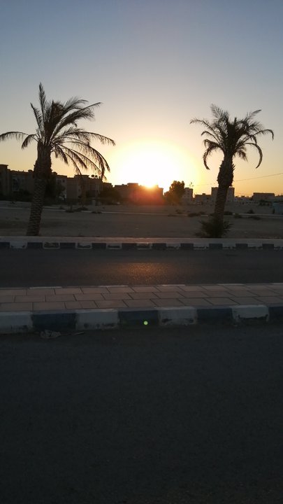 مشاركاتي في أنت الراصد