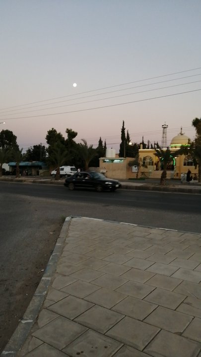 مشاركاتي في أنت الراصد