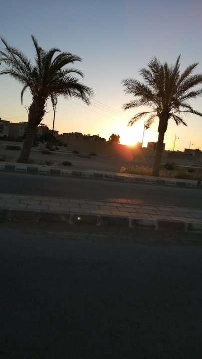 مشاركاتي في أنت الراصد