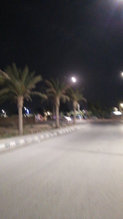 مشاركاتي في أنت الراصد