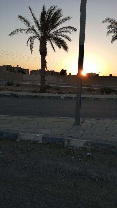 مشاركاتي في أنت الراصد