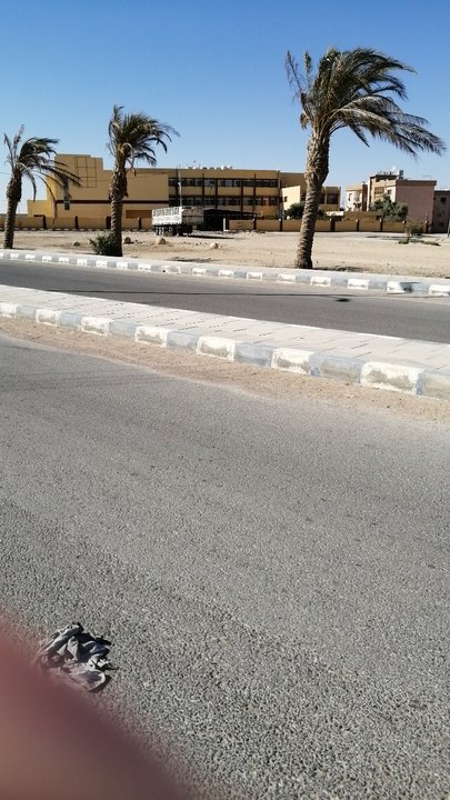 مشاركاتي في أنت الراصد