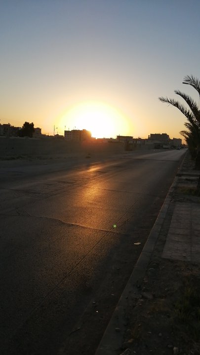 مشاركاتي في أنت الراصد