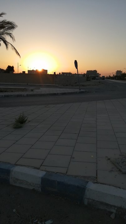 مشاركاتي في أنت الراصد